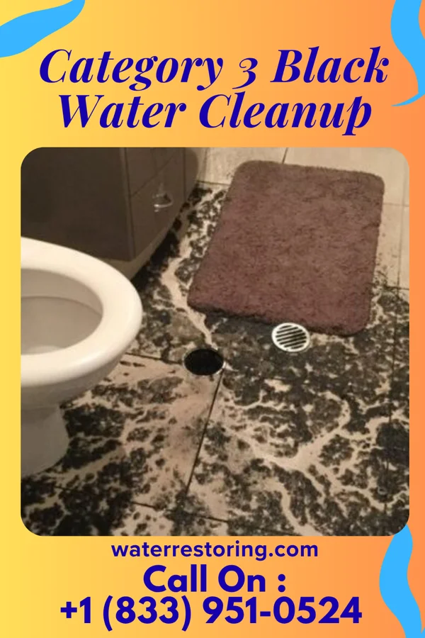Category 3 Black Water Cleanup in Jolivue, VA