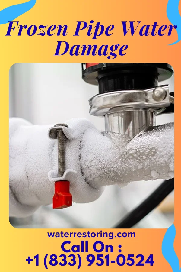 Frozen Pipe Water Damage in Jolivue, VA